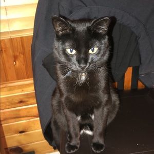 Meet your Posher, Amy